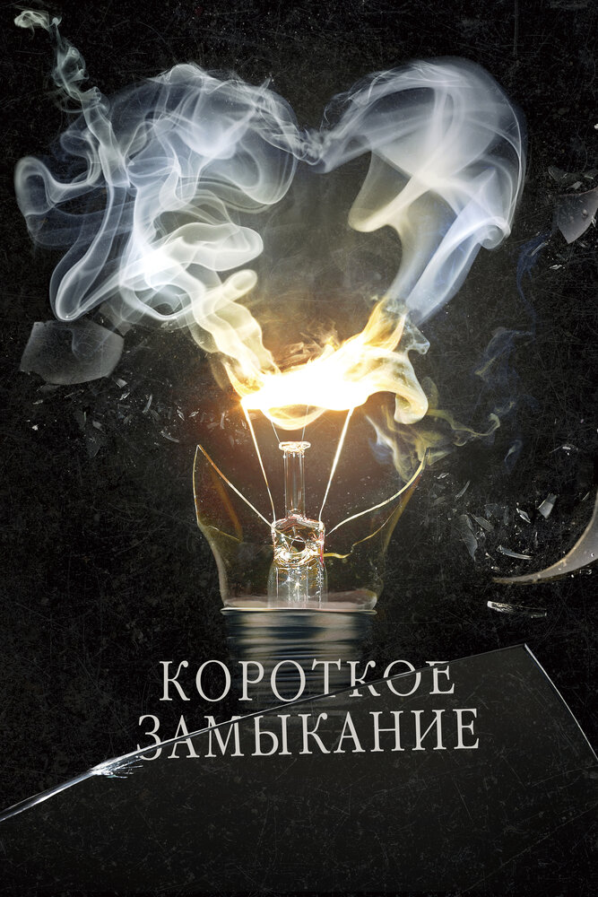 Короткое замыкание (2009) постер